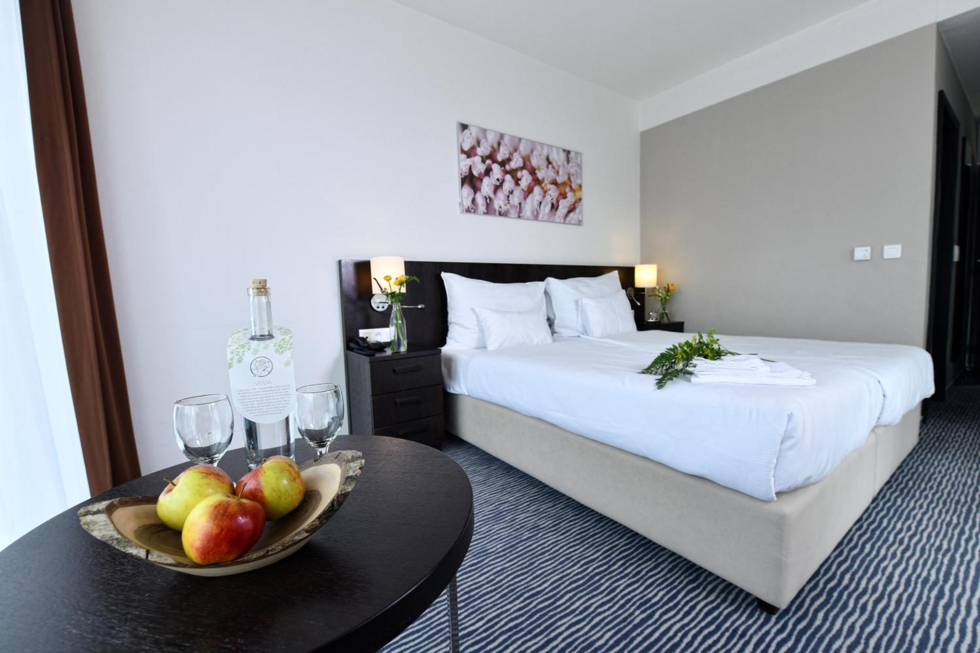 Wellness Hotel Vista Dolni Morava Bagian luar foto