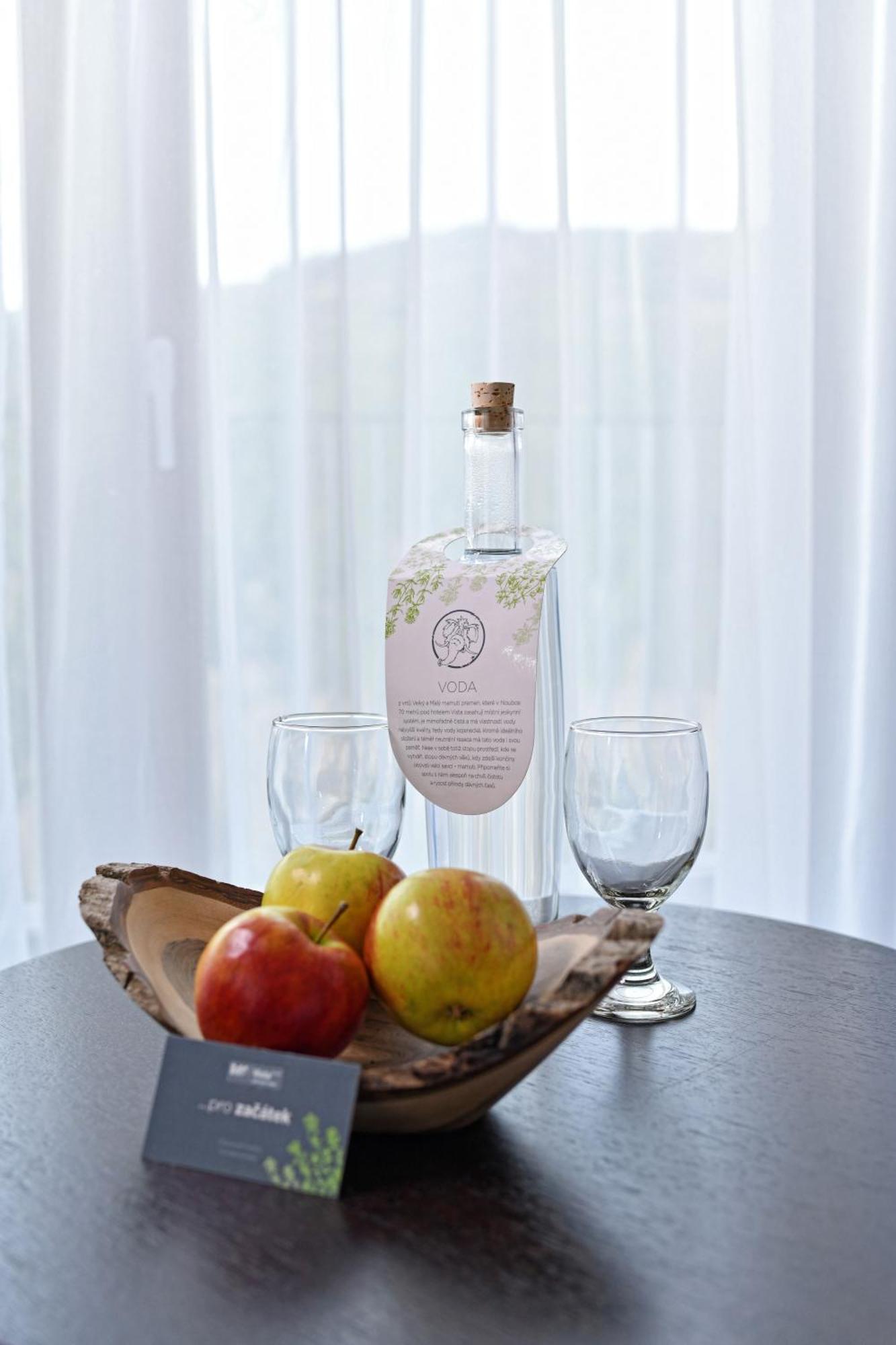 Wellness Hotel Vista Dolni Morava Bagian luar foto