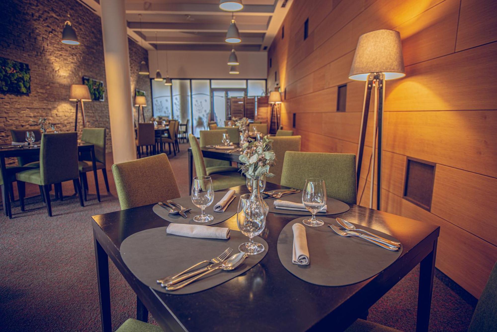 Wellness Hotel Vista Dolni Morava Bagian luar foto